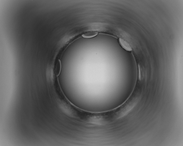X0000115260252200911061244