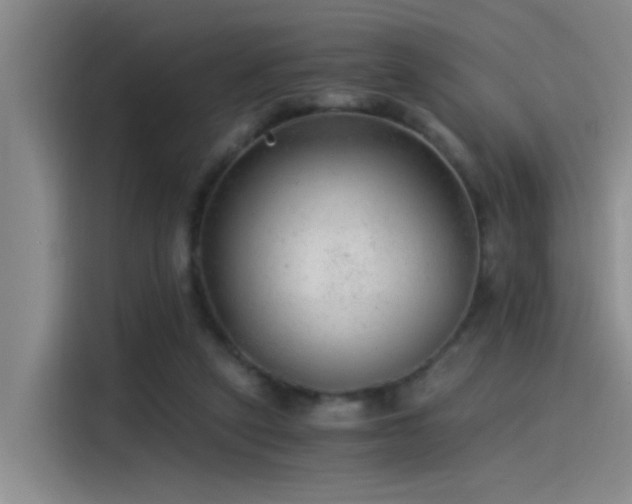 X0000115260257200911061244