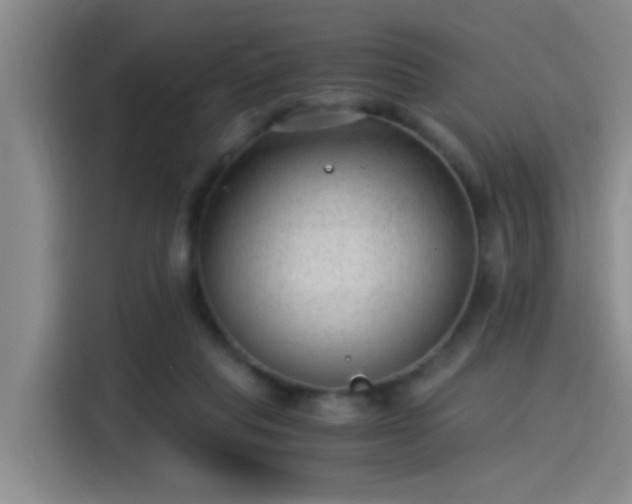 X0000115260261200911061245