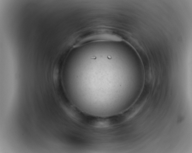X0000115260263200911061245