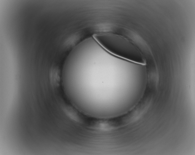X0000115260264200911061245