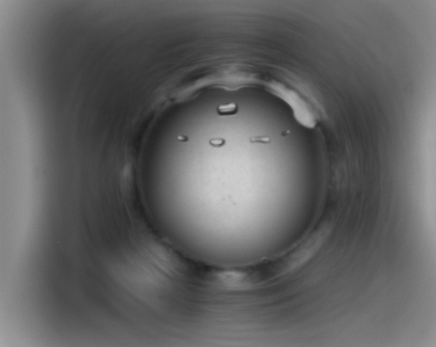 X0000115260265200911061245