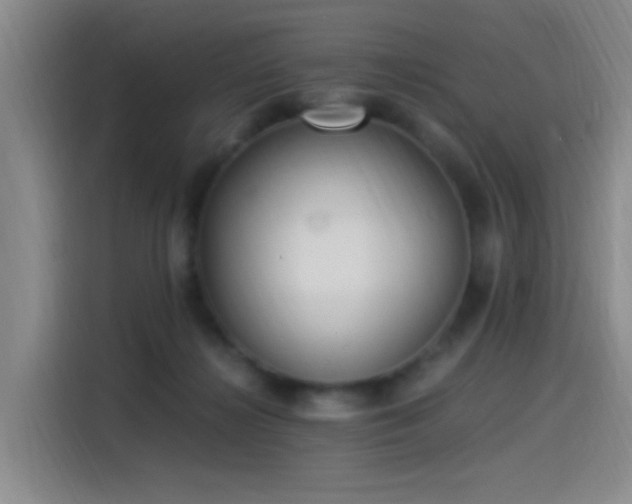 X0000115260268200911061245