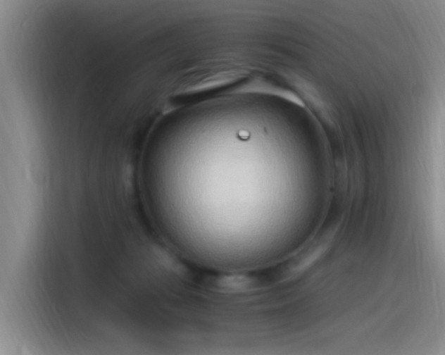 X0000115260269200911061245