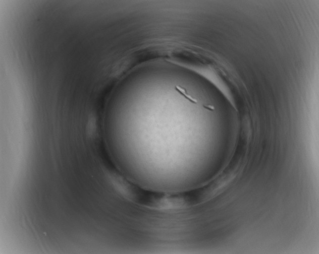 X0000115260270200911061245