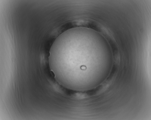 X0000115260272200911061245