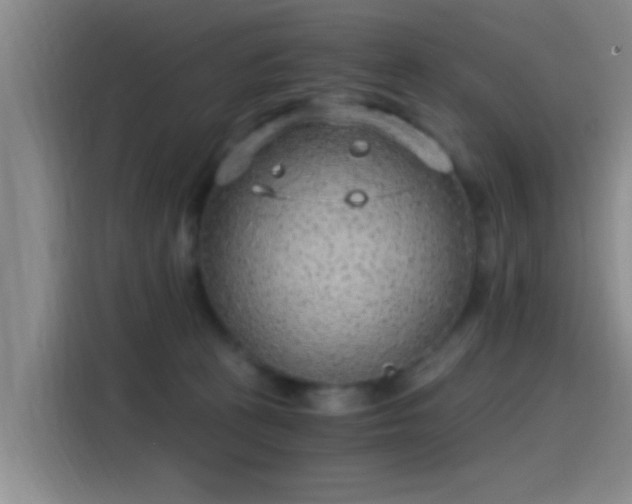 X0000115260273200911061245