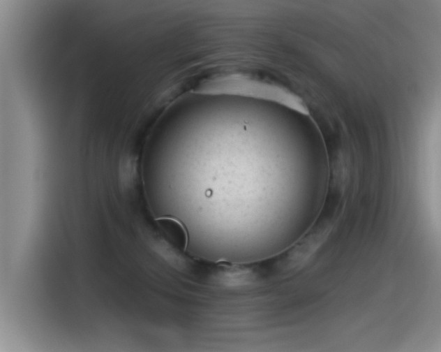 X0000115260278200911061245