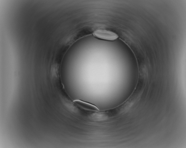 X0000115260280200911061245