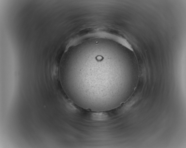 X0000115260281200911061245