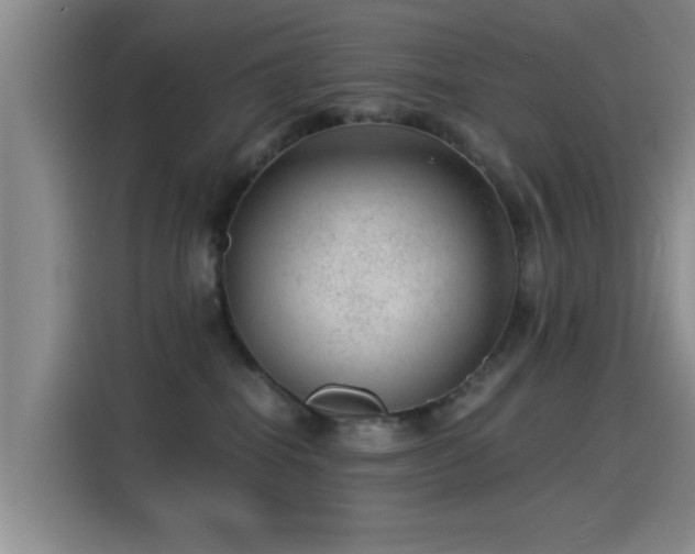 X0000115260282200911061245