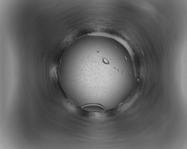 X0000115260286200911061245