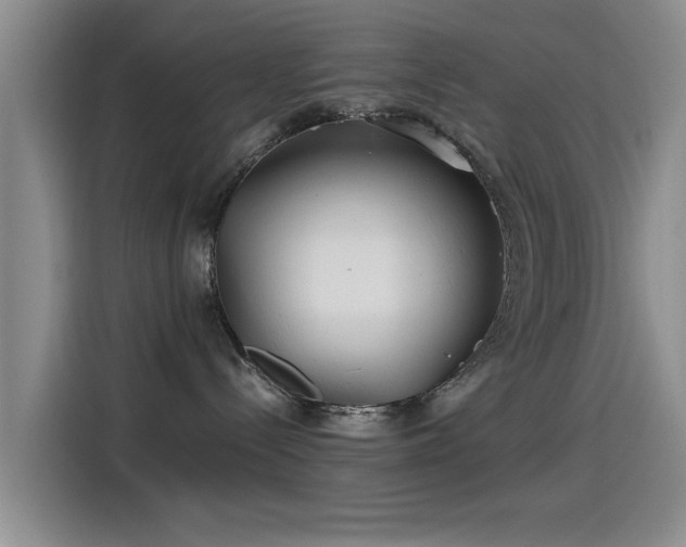 X0000115260288200911061245