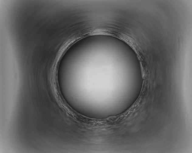 X0000115260289200911061244