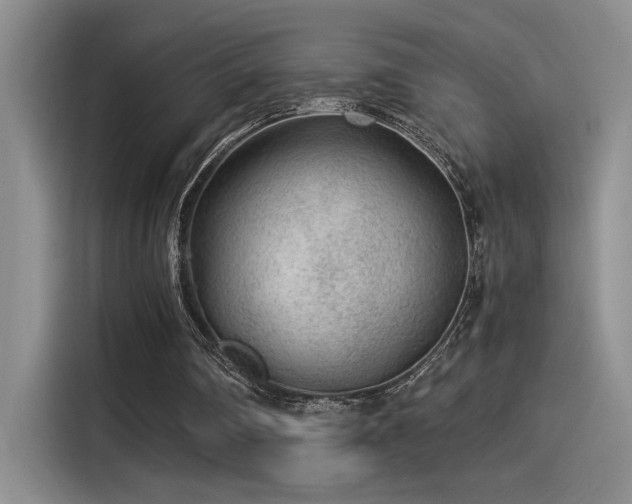 X0000115260290200911061244