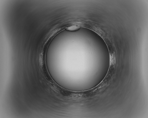 X0000115260291200911061244