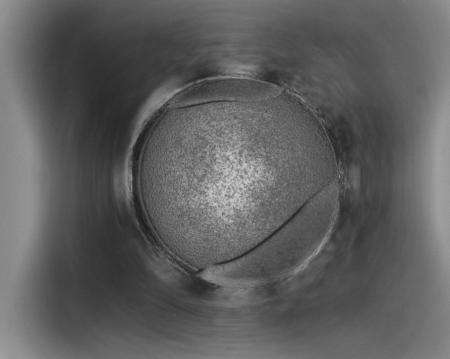 X0000115260294200911061244