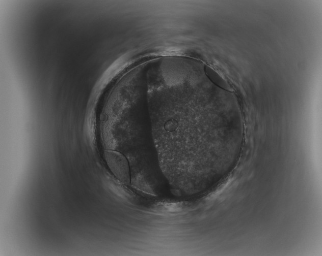 X0000115260295200911061244
