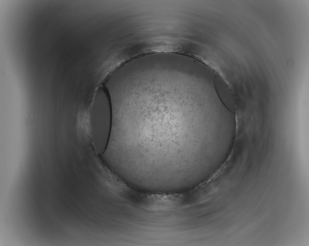 X0000115260297200911061244