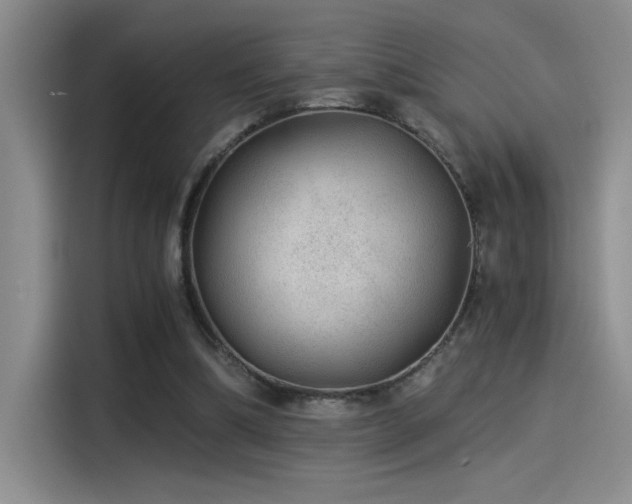 X0000115260298200911061244