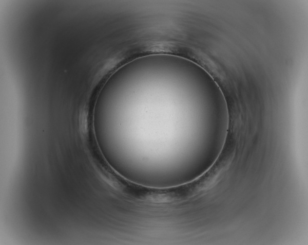 X0000115260299200911061244