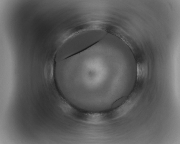 X0000115260301200911061244