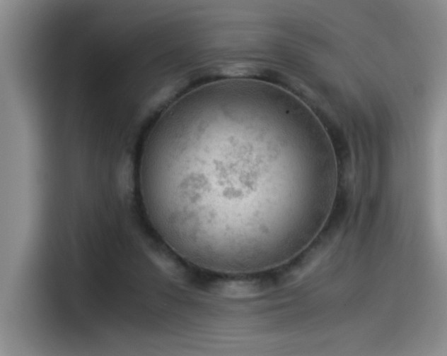X0000115260303200911061244