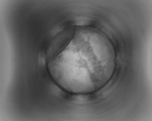 X0000115260305200911061244