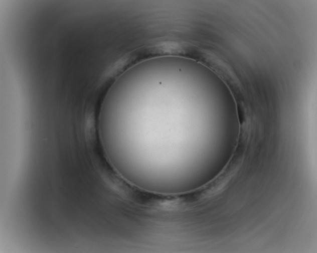 X0000115260306200911061244