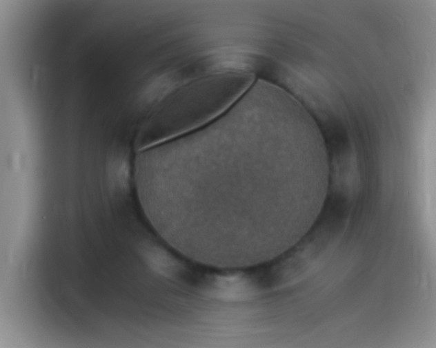 X0000115260309200911061244