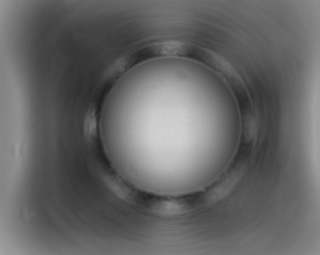 X0000115260310200911061244