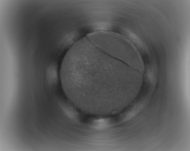 X0000115260312200911061244
