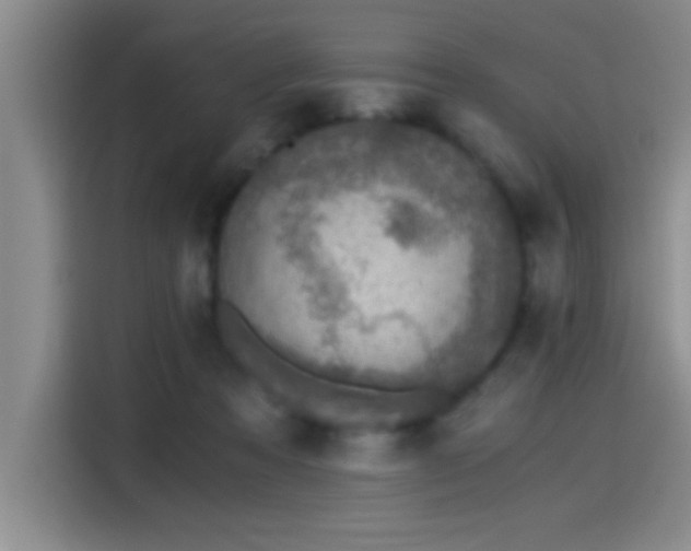 X0000115260313200911061244