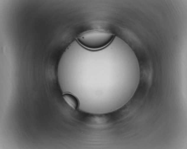X0000115260317200911061244