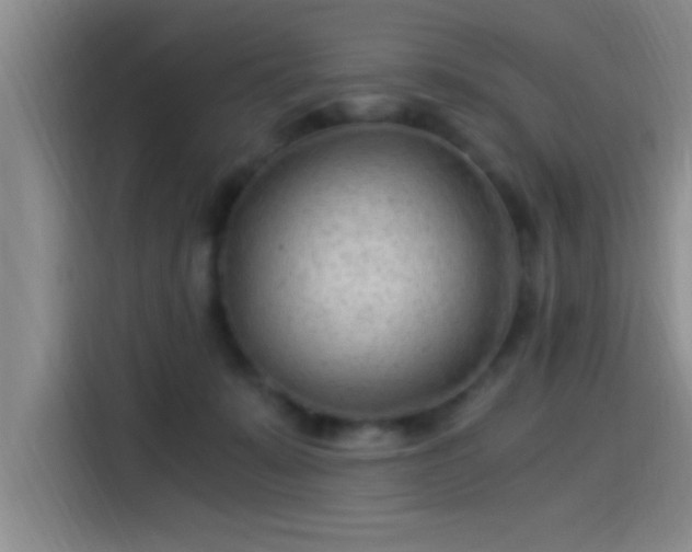 X0000115260319200911061244
