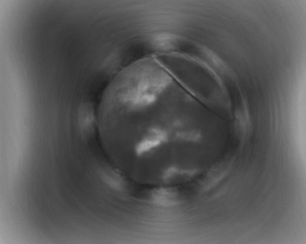 X0000115260320200911061244