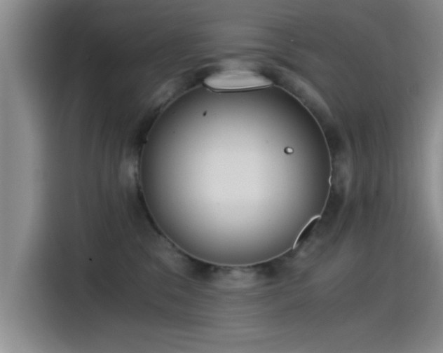 X0000115260329200911061244