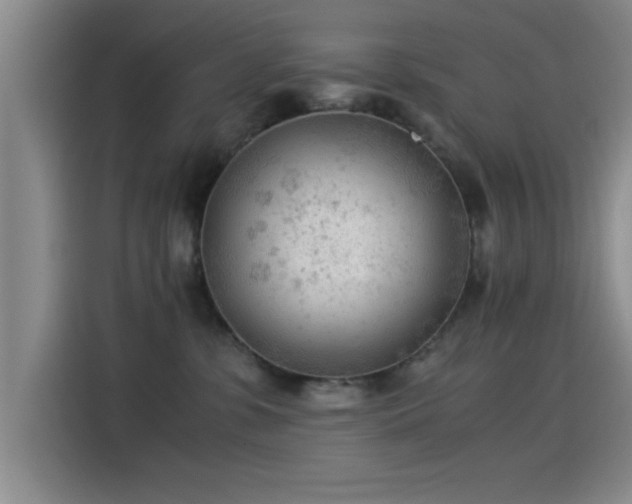 X0000115260331200911061244