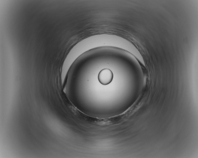 X0000115260333200911061244