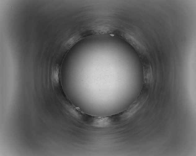 X0000115260334200911061244
