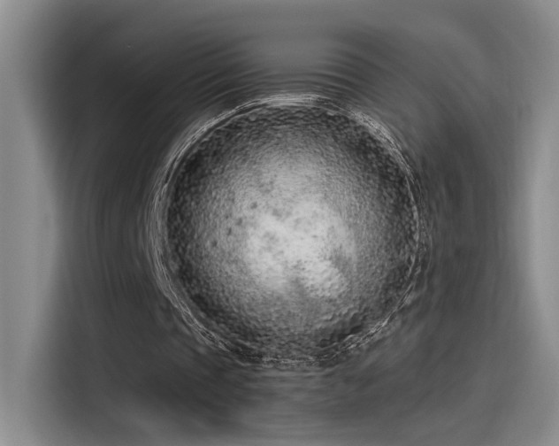 X0000115260337200911061243