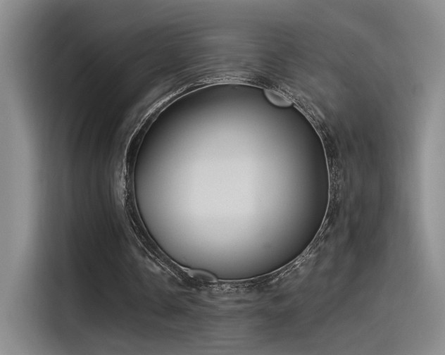 X0000115260338200911061243