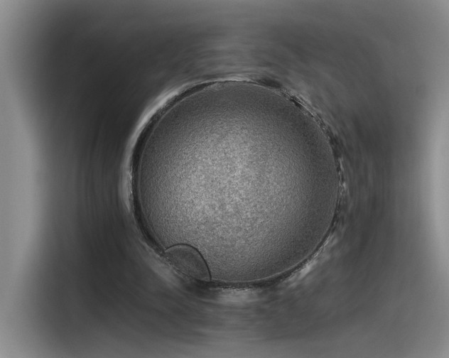 X0000115260342200911061243