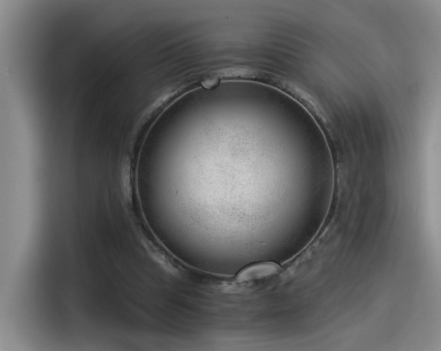 X0000115260345200911061243
