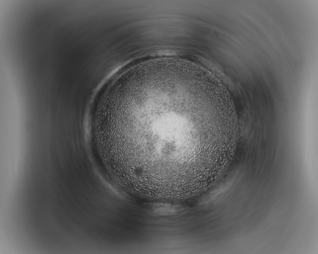 X0000115260347200911061243