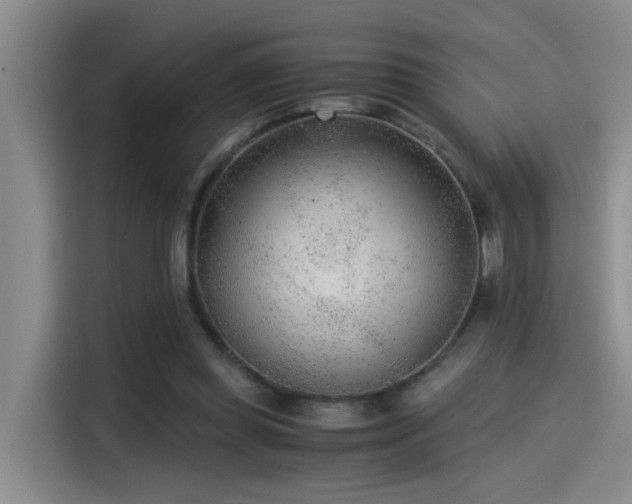 X0000115260349200911061243