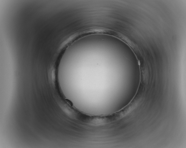 X0000115260350200911061243