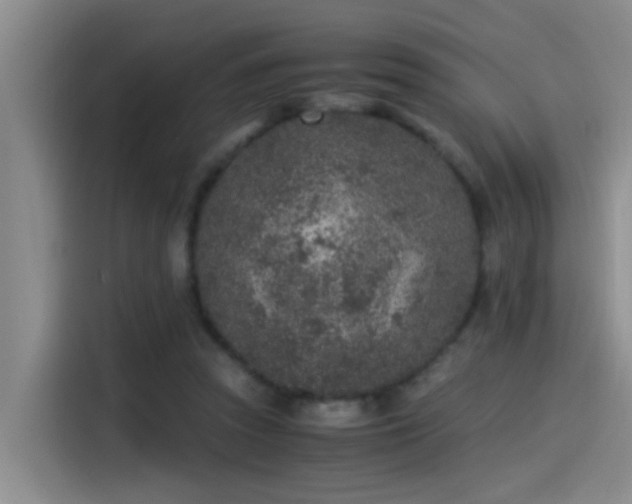X0000115260353200911061243