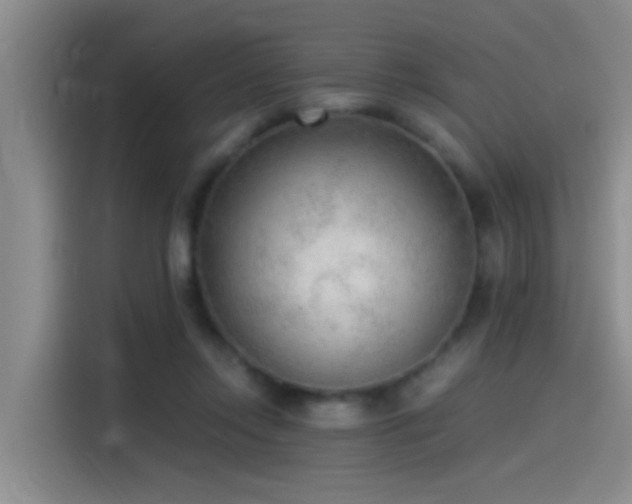 X0000115260358200911061243