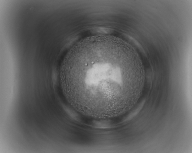 X0000115260359200911061243